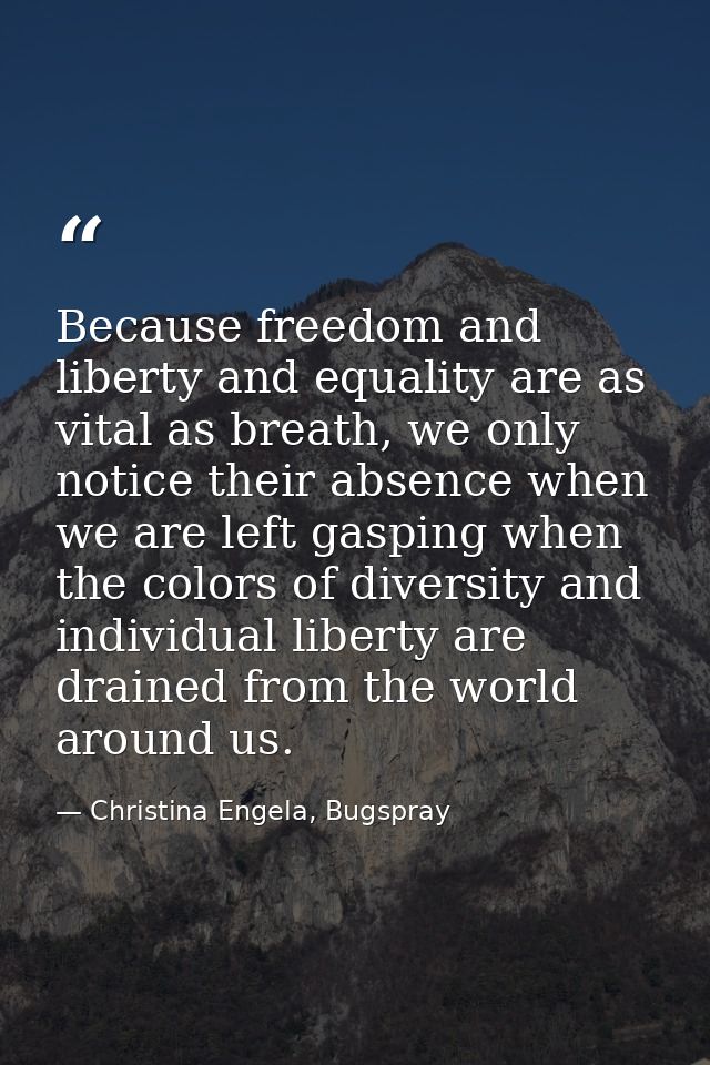 Because freedom and liberty and equality are as vital as breath, we only notice their absence when we are left gasping w — Christina Engela, Bugspray