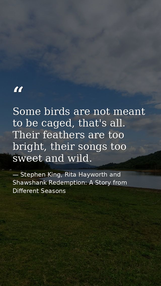 Some birds are not meant to be caged, that's all. Their feathers are too bright, their songs too sweet and wild. — Stephen King, Rita Hayworth and Shawshank Redemption: A Story from Different Seasons