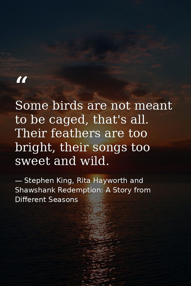 Some birds are not meant to be caged, that's all. Their feathers are too bright, their songs too sweet and wild. — Stephen King, Rita Hayworth and Shawshank Redemption: A Story from Different Seasons