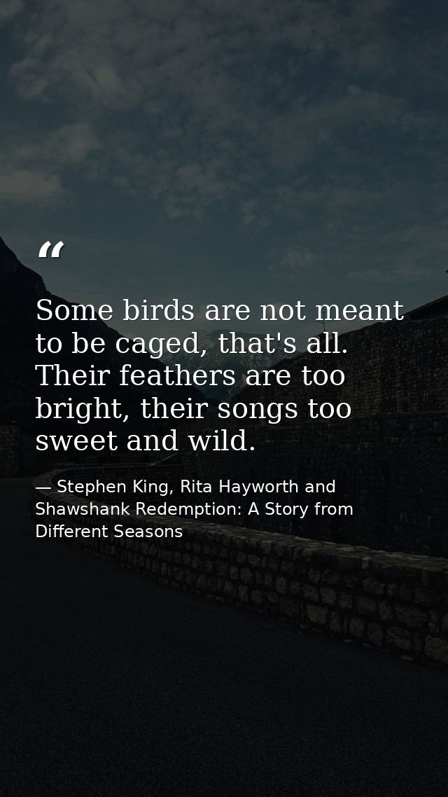 Some birds are not meant to be caged, that's all. Their feathers are too bright, their songs too sweet and wild. — Stephen King, Rita Hayworth and Shawshank Redemption: A Story from Different Seasons