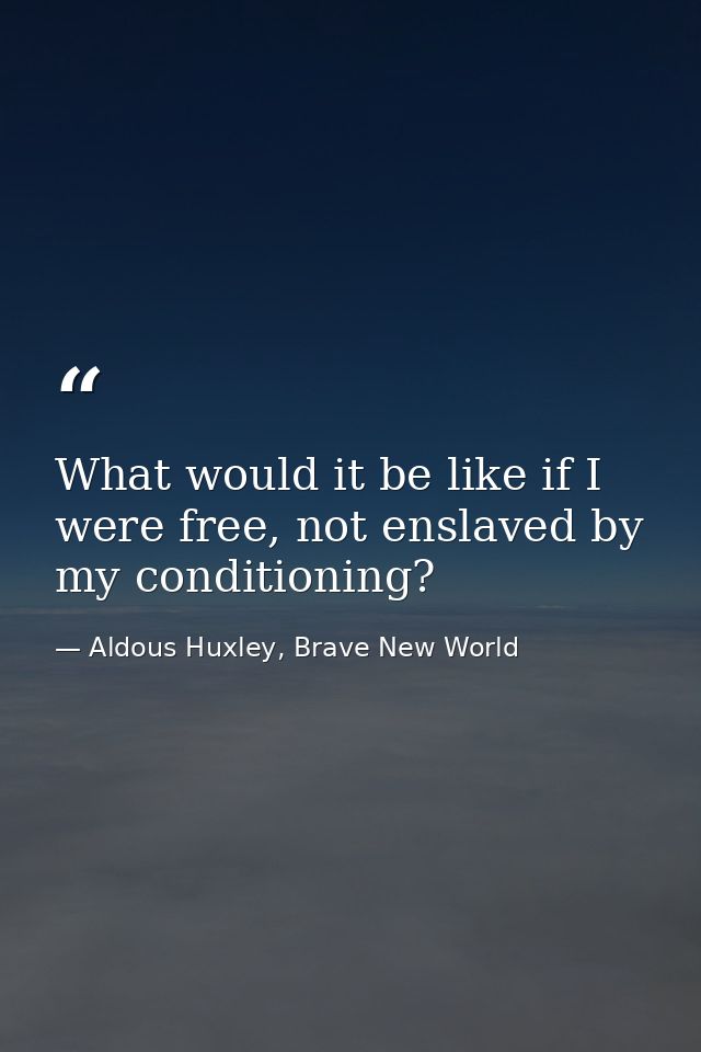 What would it be like if I were free, not enslaved by my conditioning? — Aldous Huxley, Brave New World