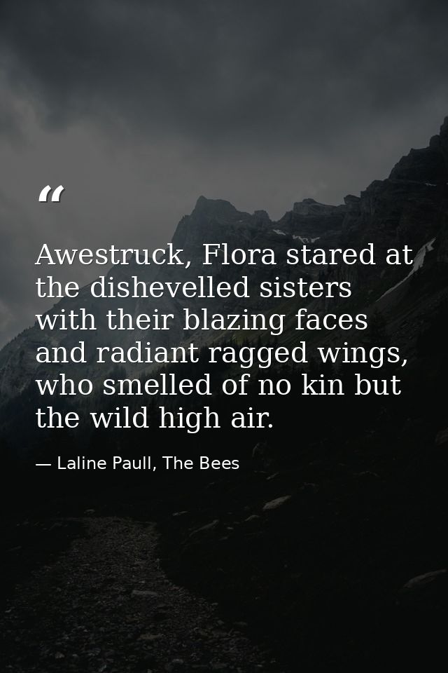 Awestruck, Flora stared at the dishevelled sisters with their blazing faces and radiant ragged wings, who smelled of no  — Laline Paull, The Bees