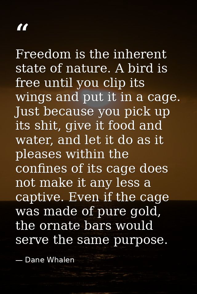 Freedom is the inherent state of nature. A bird is free until you clip its wings and put it in a cage. Just because you  — Dane Whalen