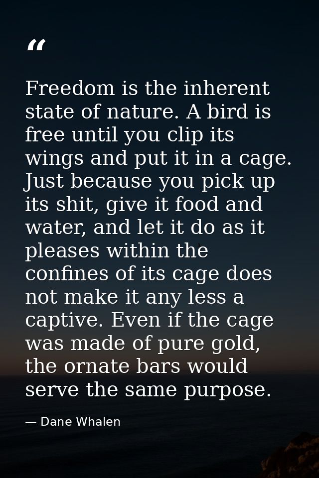 Freedom is the inherent state of nature. A bird is free until you clip its wings and put it in a cage. Just because you  — Dane Whalen