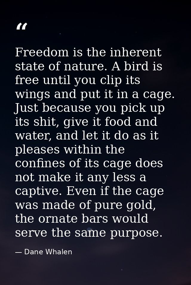 Freedom is the inherent state of nature. A bird is free until you clip its wings and put it in a cage. Just because you  — Dane Whalen