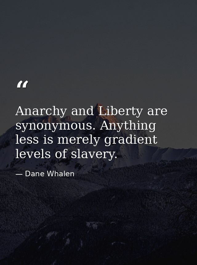 Anarchy and Liberty are synonymous. Anything less is merely gradient levels of slavery. — Dane Whalen