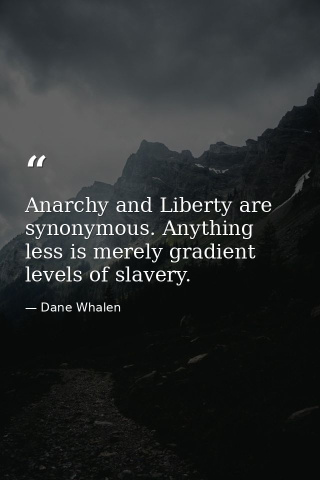 Anarchy and Liberty are synonymous. Anything less is merely gradient levels of slavery. — Dane Whalen