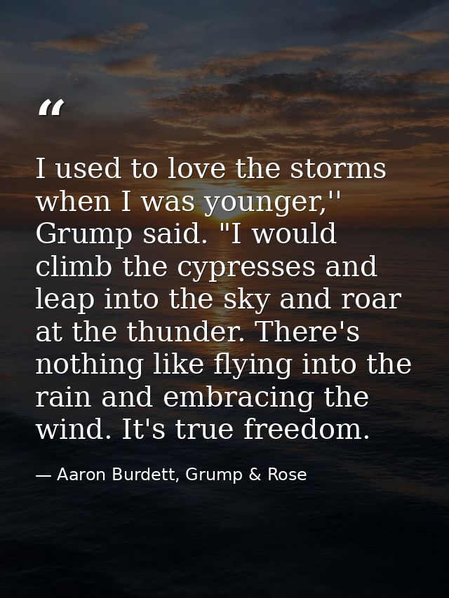 I used to love the storms when I was younger,'' Grump said. "I would climb the cypresses and leap into the sky and roar  — Aaron Burdett, Grump & Rose
