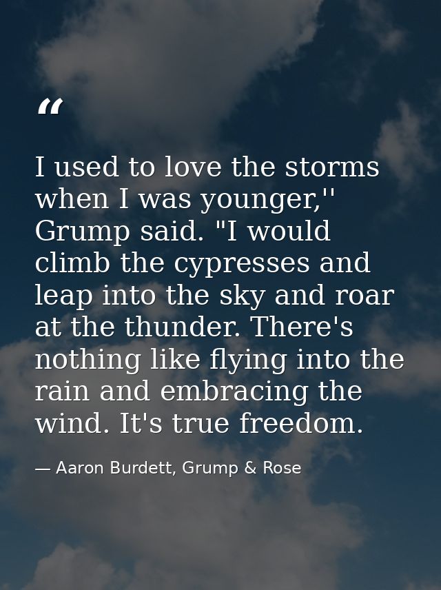 I used to love the storms when I was younger,'' Grump said. "I would climb the cypresses and leap into the sky and roar  — Aaron Burdett, Grump & Rose