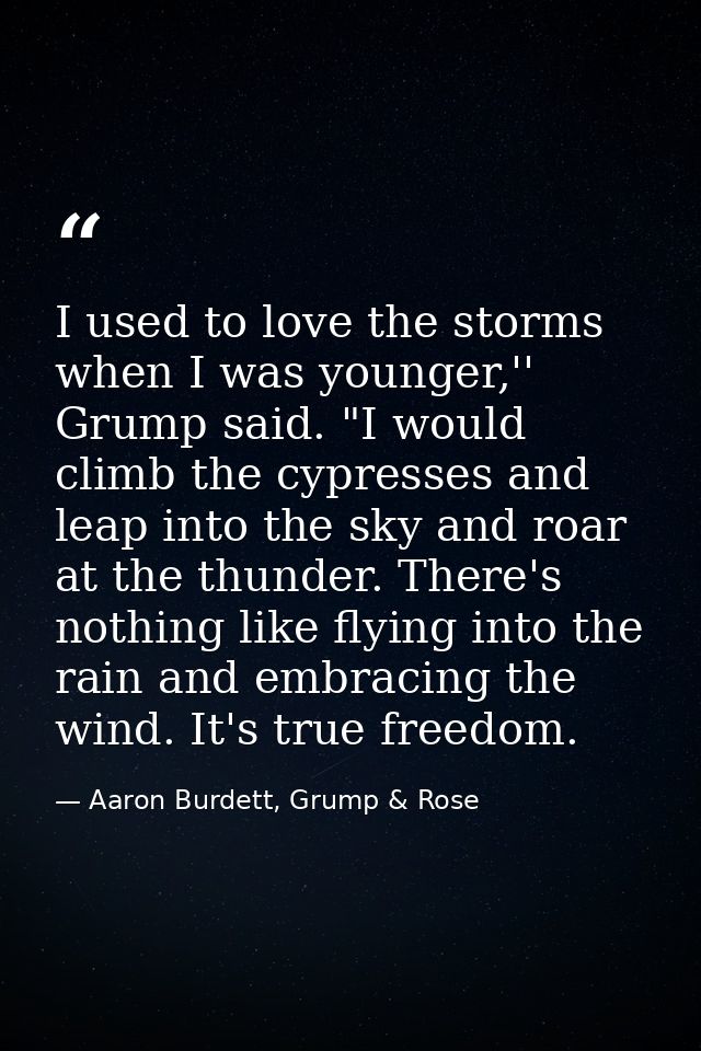 I used to love the storms when I was younger,'' Grump said. "I would climb the cypresses and leap into the sky and roar  — Aaron Burdett, Grump & Rose