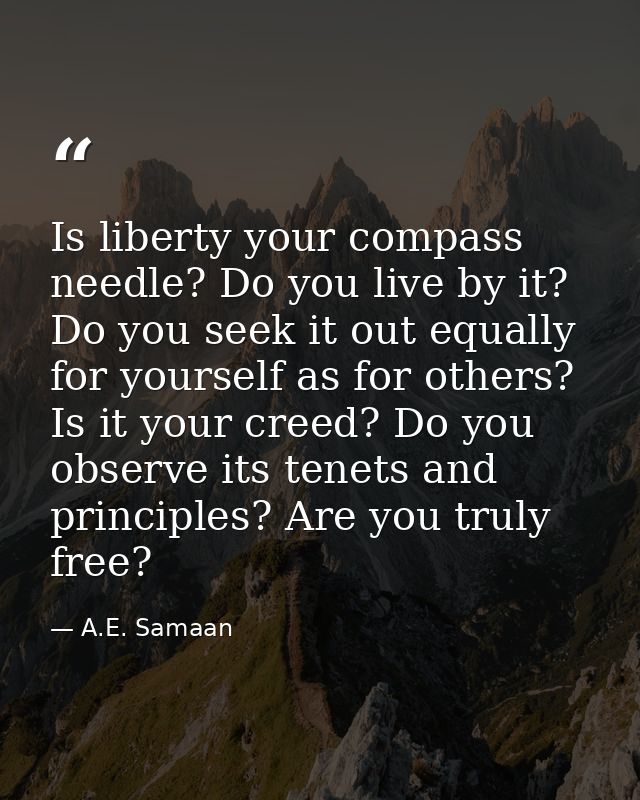 Is liberty your compass needle? Do you live by it? Do you seek it out equally for yourself as for others? Is it your cre — A.E. Samaan