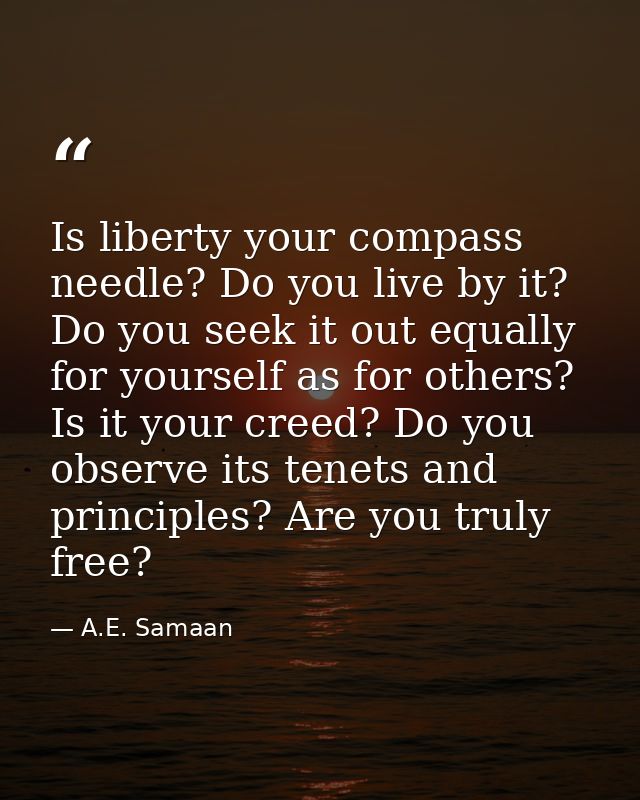 Is liberty your compass needle? Do you live by it? Do you seek it out equally for yourself as for others? Is it your cre — A.E. Samaan