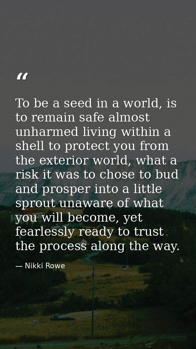 To be a seed in a world, is to remain safe almost unharmed living within a shell to protect you from the exterior world, — Nikki Rowe