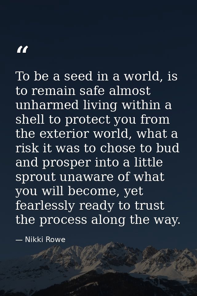 To be a seed in a world, is to remain safe almost unharmed living within a shell to protect you from the exterior world, — Nikki Rowe