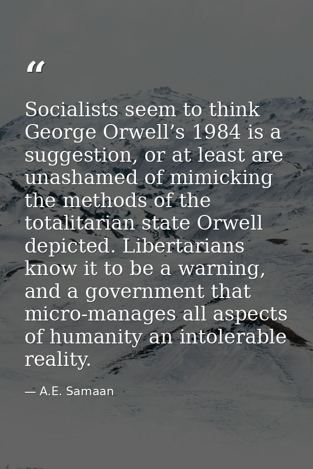 Socialists seem to think George Orwell’s 1984 is a suggestion, or at least are unashamed of mimicking the methods of the — A.E. Samaan