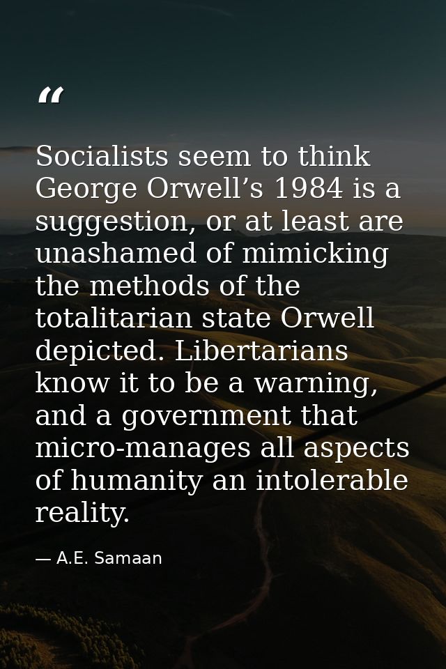 Socialists seem to think George Orwell’s 1984 is a suggestion, or at least are unashamed of mimicking the methods of the — A.E. Samaan