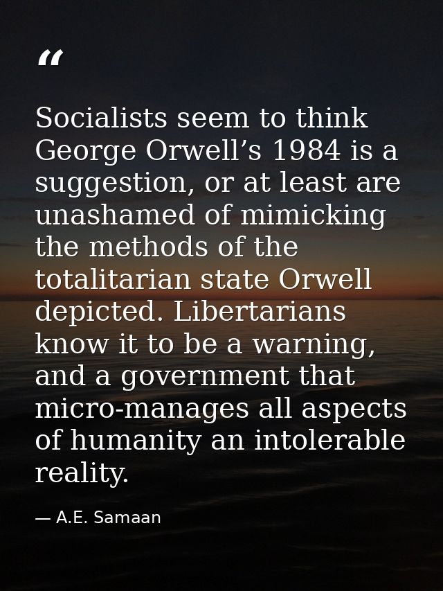 Socialists seem to think George Orwell’s 1984 is a suggestion, or at least are unashamed of mimicking the methods of the — A.E. Samaan