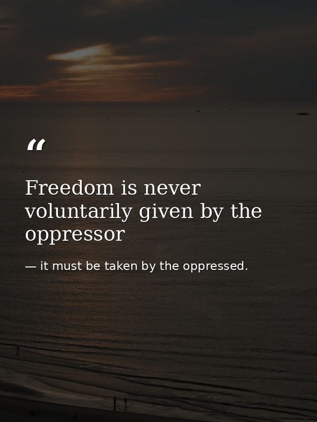 Freedom is never voluntarily given by the oppressor — it must be taken by the oppressed.