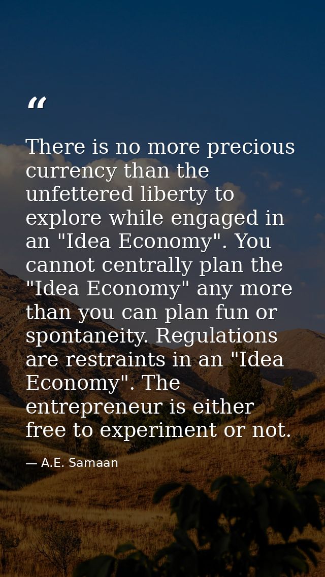 There is no more precious currency than the unfettered liberty to explore while engaged in an "Idea Economy". You cannot — A.E. Samaan