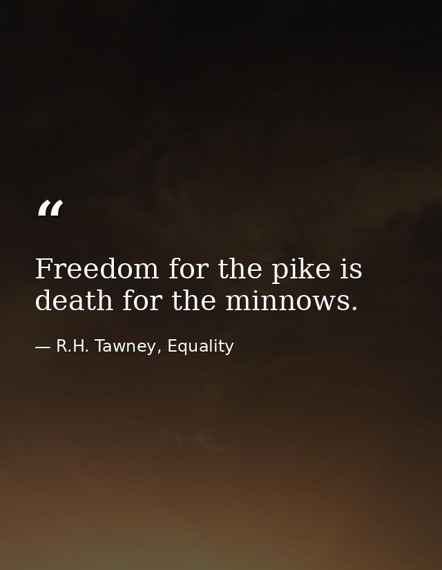 Freedom for the pike is death for the minnows. — R.H. Tawney, Equality