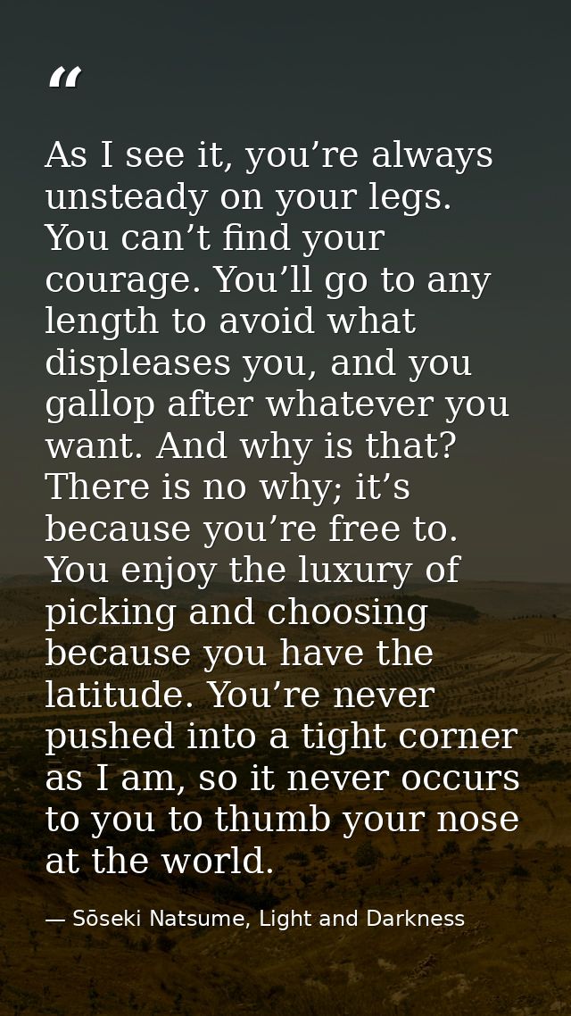 As I see it, you’re always unsteady on your legs. You can’t find your courage. You’ll go to any length to avoid what dis — Sōseki Natsume, Light and Darkness