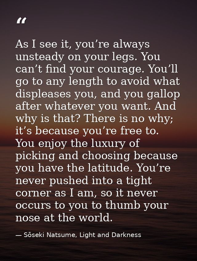 As I see it, you’re always unsteady on your legs. You can’t find your courage. You’ll go to any length to avoid what dis — Sōseki Natsume, Light and Darkness