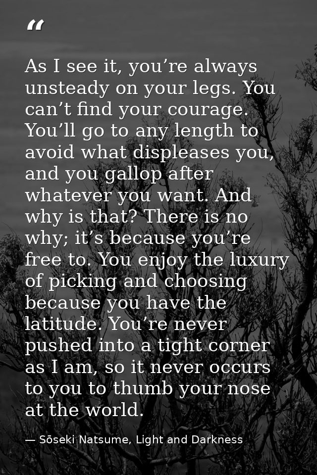 As I see it, you’re always unsteady on your legs. You can’t find your courage. You’ll go to any length to avoid what dis — Sōseki Natsume, Light and Darkness