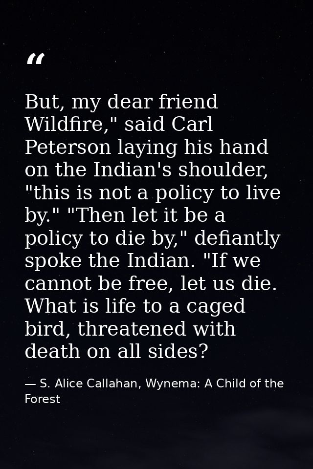 But, my dear friend Wildfire," said Carl Peterson laying his hand on the Indian's shoulder, "this is not a policy to liv — S. Alice Callahan, Wynema: A Child of the Forest