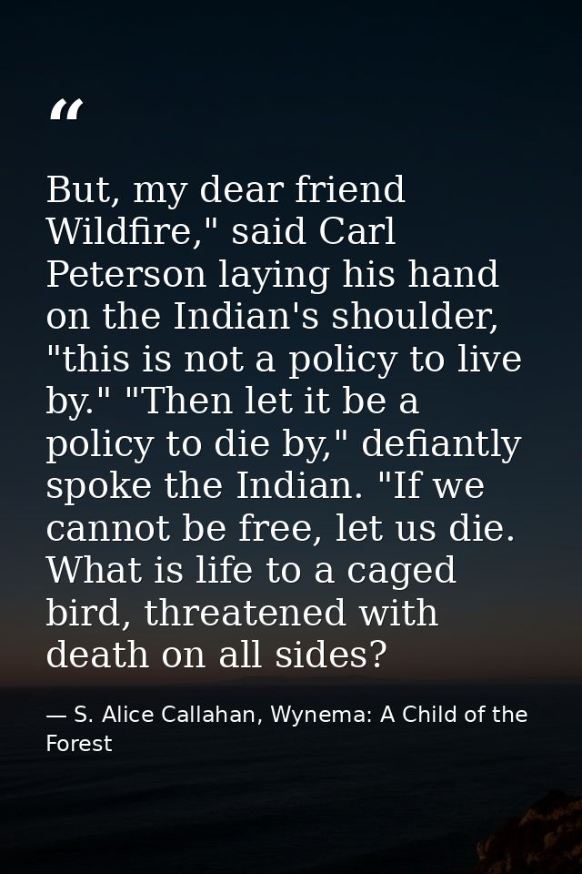 But, my dear friend Wildfire," said Carl Peterson laying his hand on the Indian's shoulder, "this is not a policy to liv — S. Alice Callahan, Wynema: A Child of the Forest