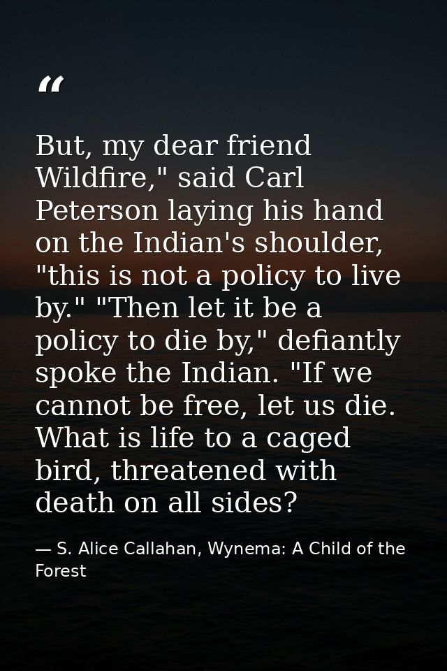 But, my dear friend Wildfire," said Carl Peterson laying his hand on the Indian's shoulder, "this is not a policy to liv — S. Alice Callahan, Wynema: A Child of the Forest