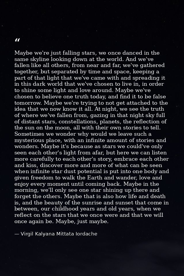 Maybe we're just falling stars, we once danced in the same skyline looking down at the world. And we've fallen like all  — Virgil Kalyana Mittata Iordache