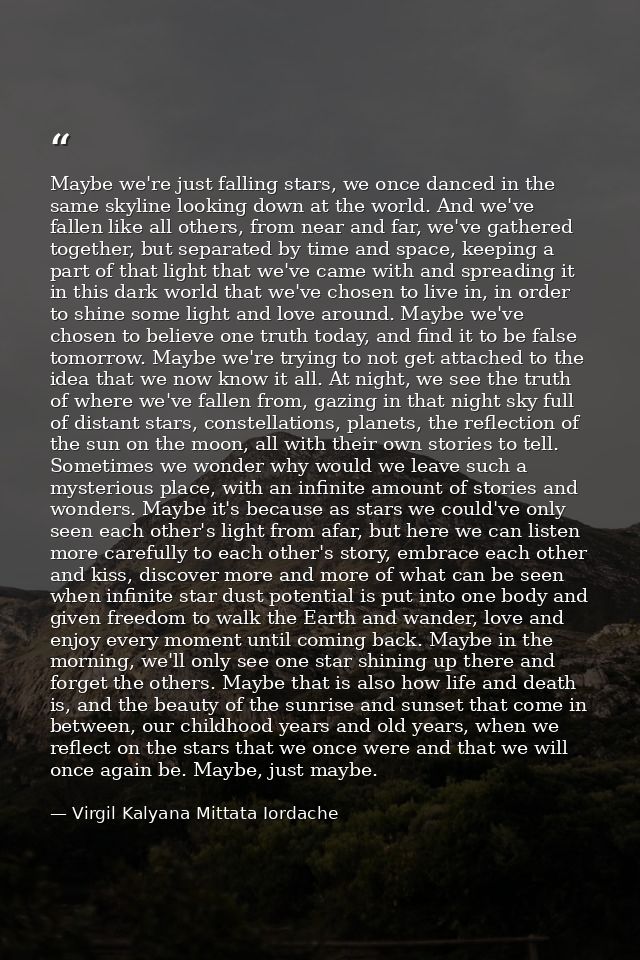 Maybe we're just falling stars, we once danced in the same skyline looking down at the world. And we've fallen like all  — Virgil Kalyana Mittata Iordache