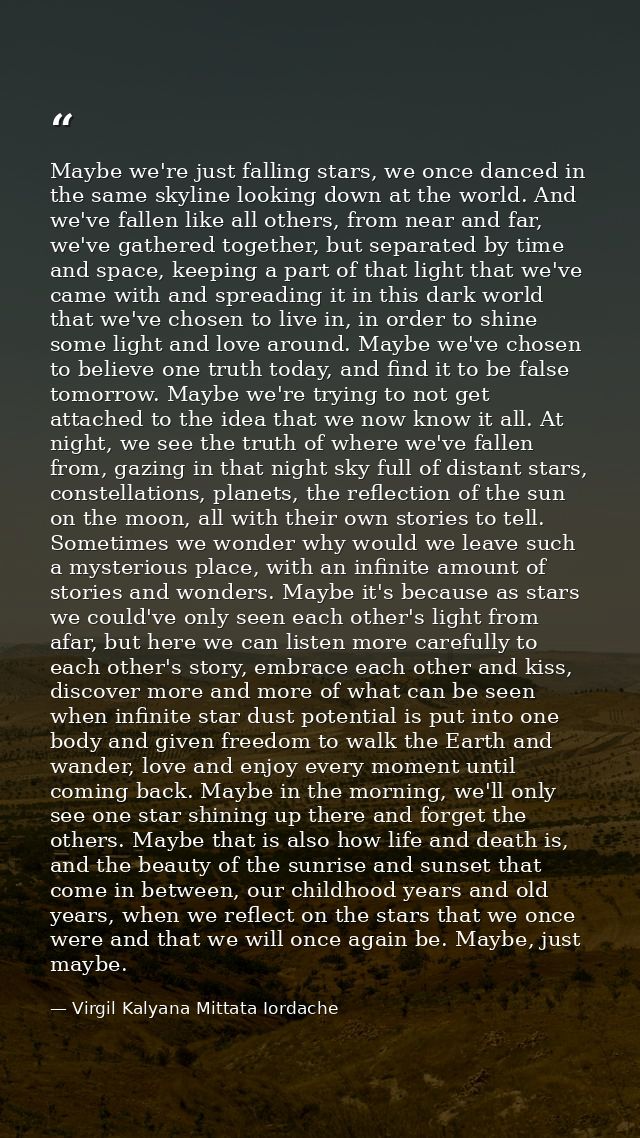 Maybe we're just falling stars, we once danced in the same skyline looking down at the world. And we've fallen like all  — Virgil Kalyana Mittata Iordache