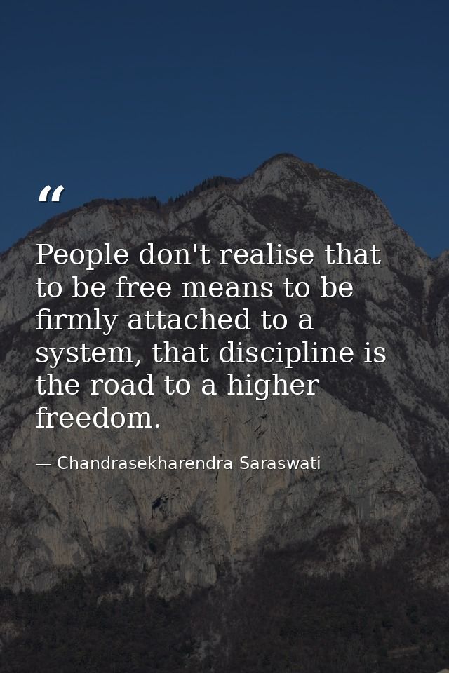 People don't realise that to be free means to be firmly attached to a system, that discipline is the road to a higher fr — Chandrasekharendra Saraswati