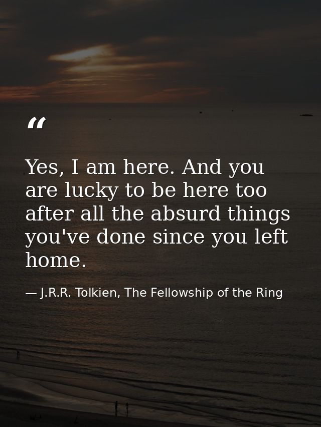 Yes, I am here. And you are lucky to be here too after all the absurd things you've done since you left home. — J.R.R. Tolkien, The Fellowship of the Ring