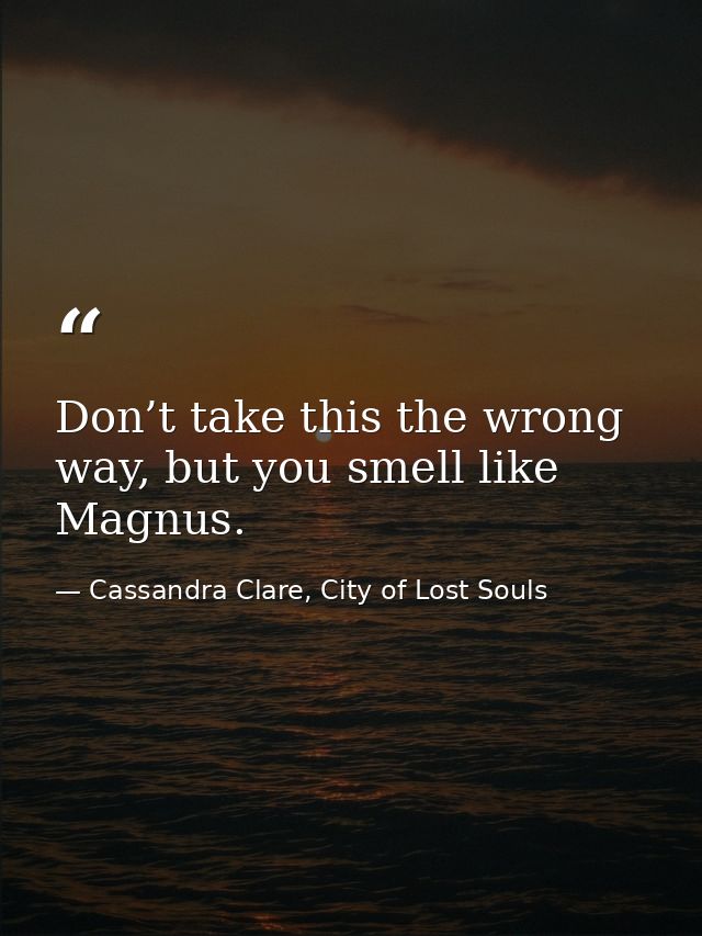 Don’t take this the wrong way, but you smell like Magnus. — Cassandra Clare, City of Lost Souls