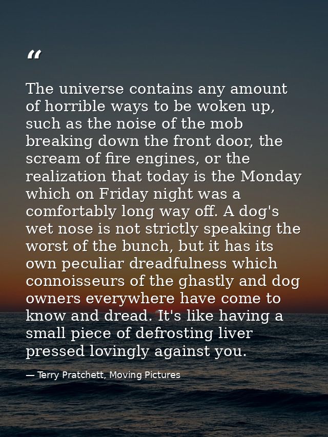 The universe contains any amount of horrible ways to be woken up, such as the noise of the mob breaking down the front d — Terry Pratchett, Moving Pictures