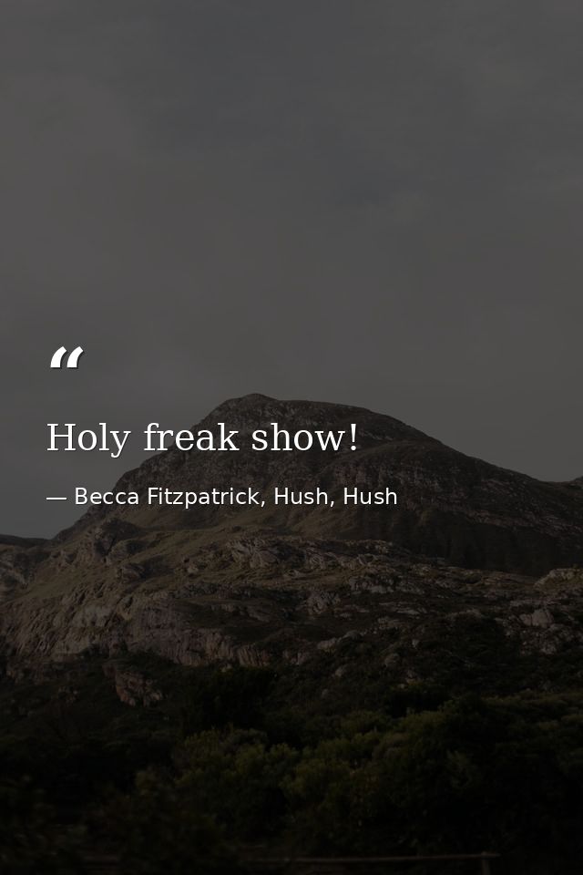 Holy freak show! — Becca Fitzpatrick, Hush, Hush