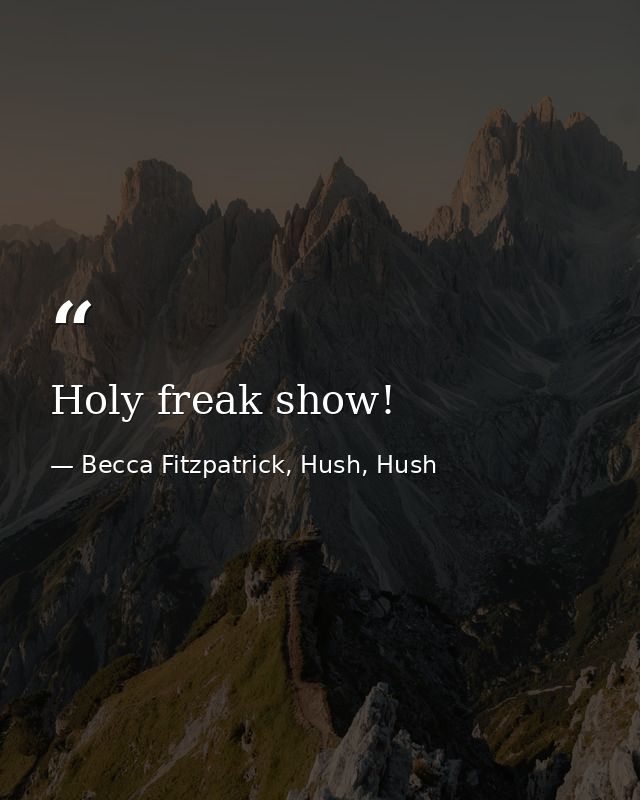 Holy freak show! — Becca Fitzpatrick, Hush, Hush