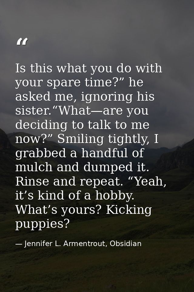 Is this what you do with your spare time?” he asked me, ignoring his sister.“What—are you deciding to talk to me now?” S — Jennifer L. Armentrout, Obsidian