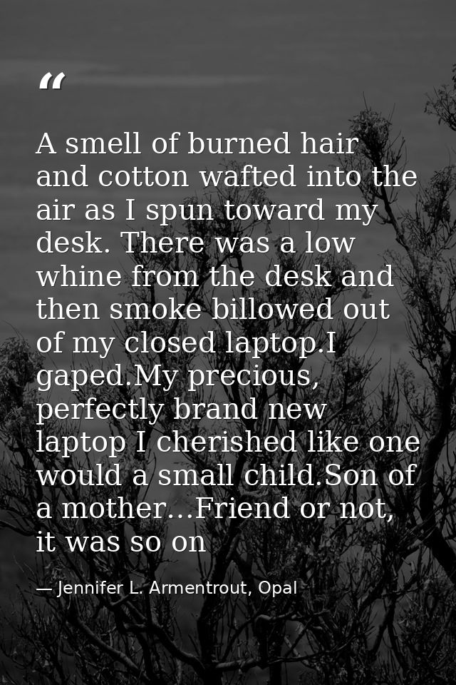 A smell of burned hair and cotton wafted into the air as I spun toward my desk. There was a low whine from the desk and  — Jennifer L. Armentrout, Opal