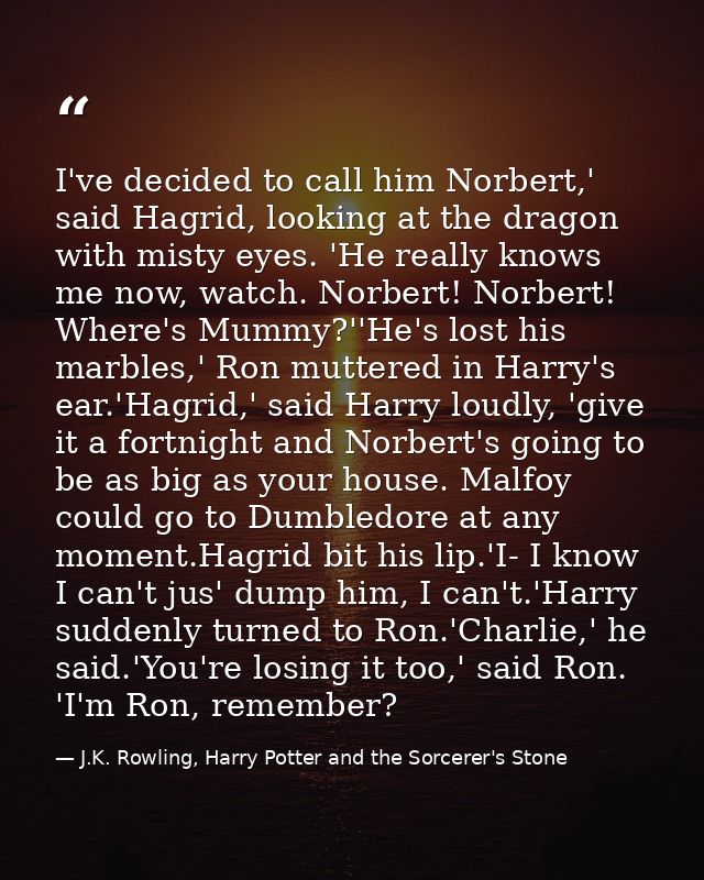 I've decided to call him Norbert,' said Hagrid, looking at the dragon with misty eyes. 'He really knows me now, watch. N — J.K. Rowling, Harry Potter and the Sorcerer's Stone