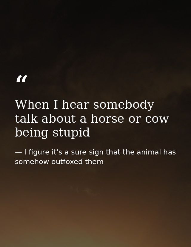 When I hear somebody talk about a horse or cow being stupid — I figure it's a sure sign that the animal has somehow outfoxed them