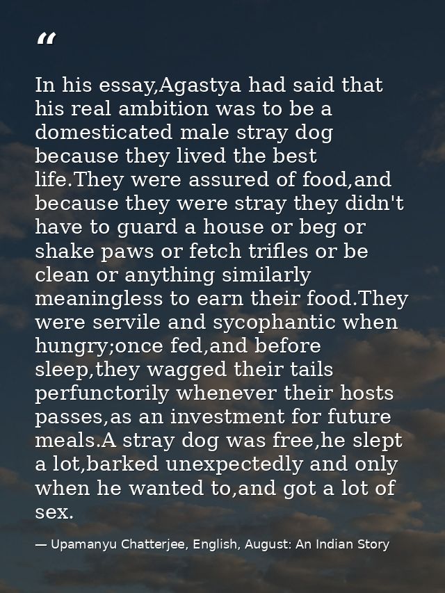 In his essay,Agastya had said that his real ambition was to be a domesticated male stray dog because they lived the best — Upamanyu Chatterjee, English, August: An Indian Story