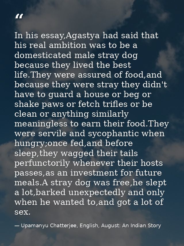 In his essay,Agastya had said that his real ambition was to be a domesticated male stray dog because they lived the best — Upamanyu Chatterjee, English, August: An Indian Story