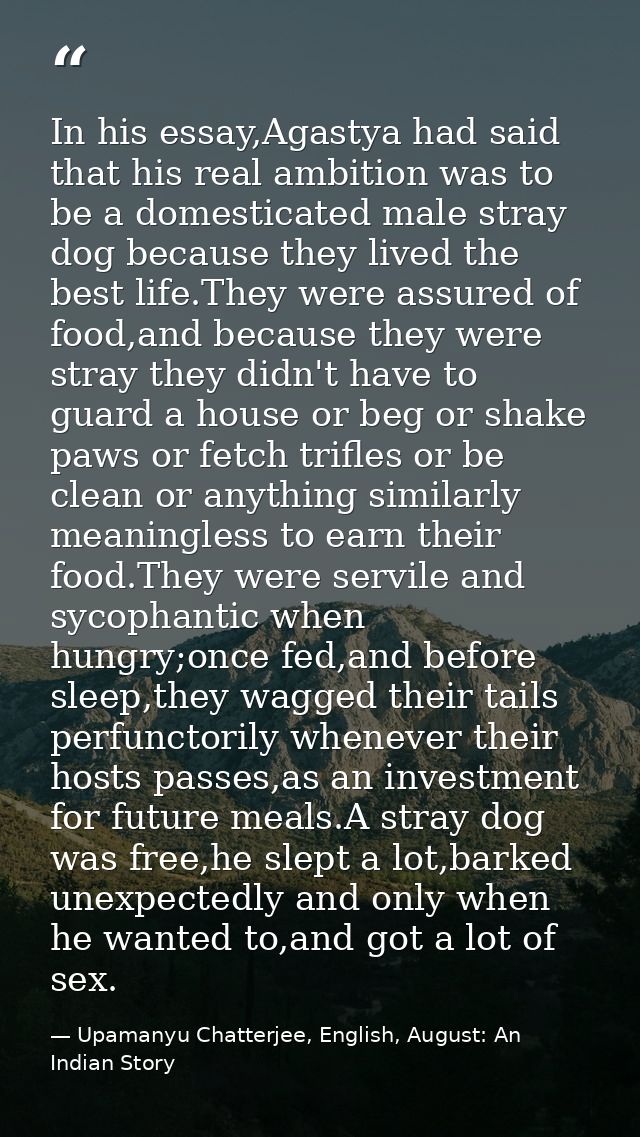 In his essay,Agastya had said that his real ambition was to be a domesticated male stray dog because they lived the best — Upamanyu Chatterjee, English, August: An Indian Story