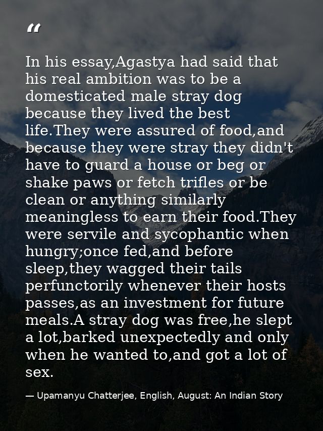 In his essay,Agastya had said that his real ambition was to be a domesticated male stray dog because they lived the best — Upamanyu Chatterjee, English, August: An Indian Story