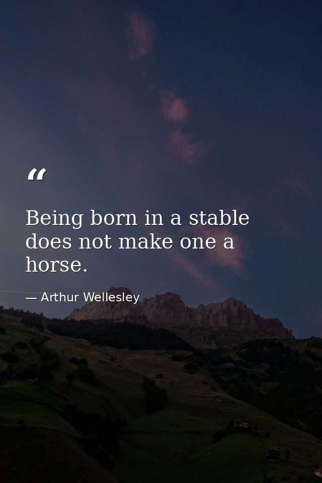 Being born in a stable does not make one a horse. — Arthur Wellesley