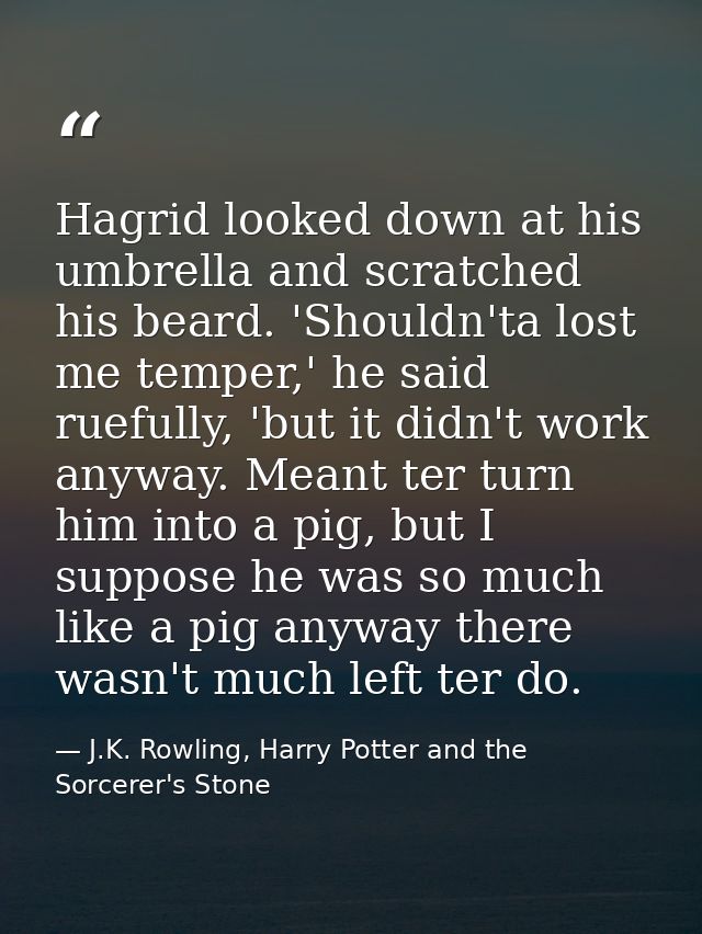 Hagrid looked down at his umbrella and scratched his beard. 'Shouldn'ta lost me temper,' he said ruefully, 'but it didn' — J.K. Rowling, Harry Potter and the Sorcerer's Stone