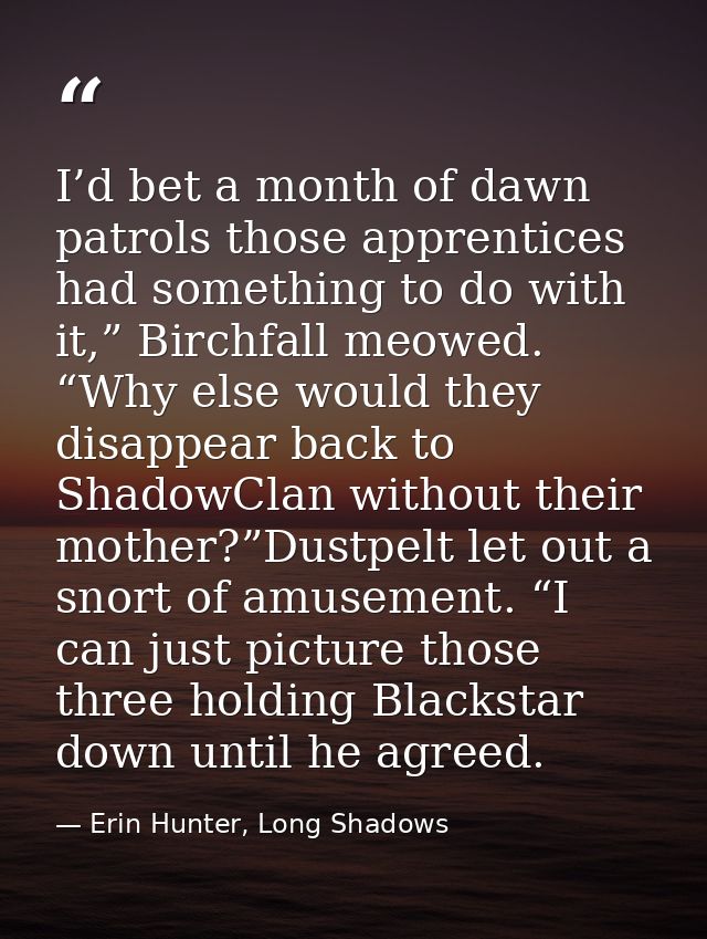 I’d bet a month of dawn patrols those apprentices had something to do with it,” Birchfall meowed. “Why else would they d — Erin Hunter, Long Shadows